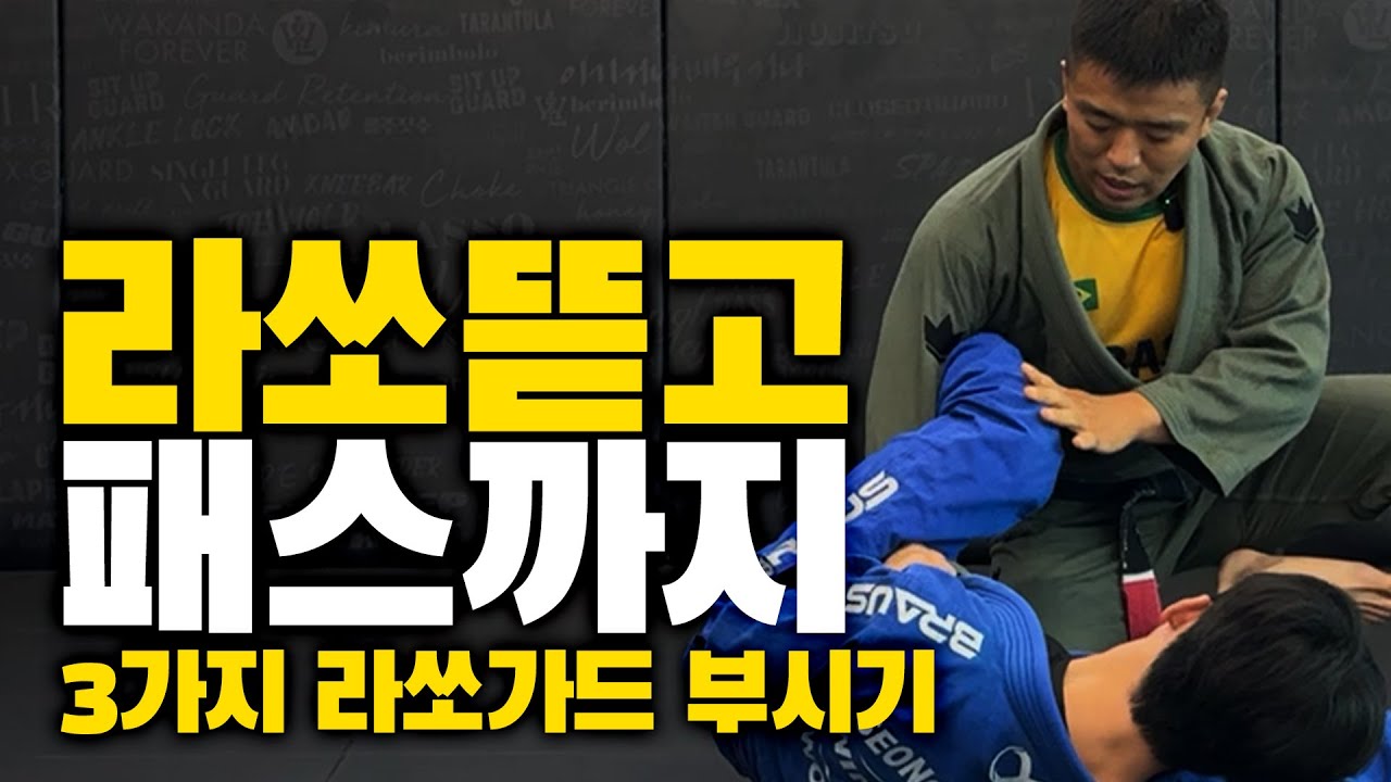 종류별 라쏘가드 부시고 패스까지 가보자고