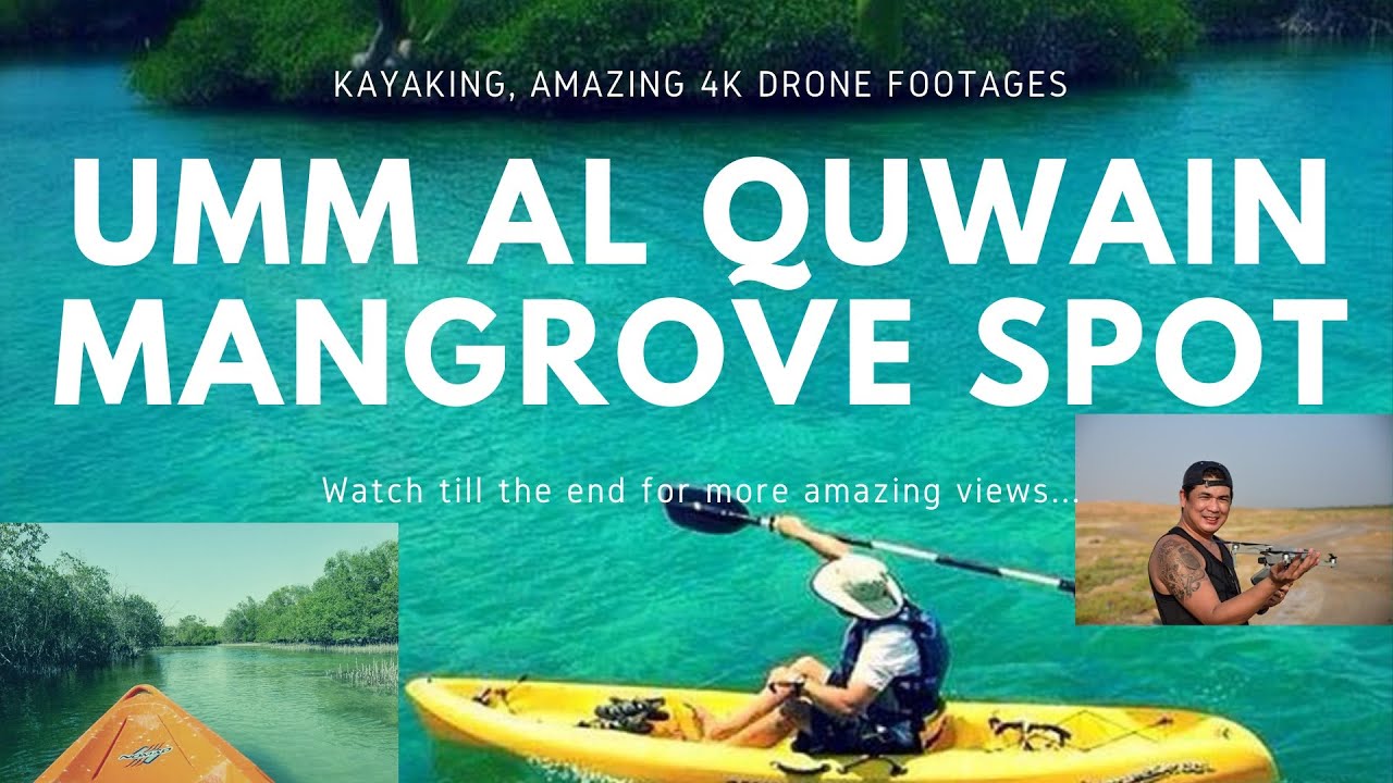 Umm Al Quwain Mangrove, UAE | Kayaking Cinematic