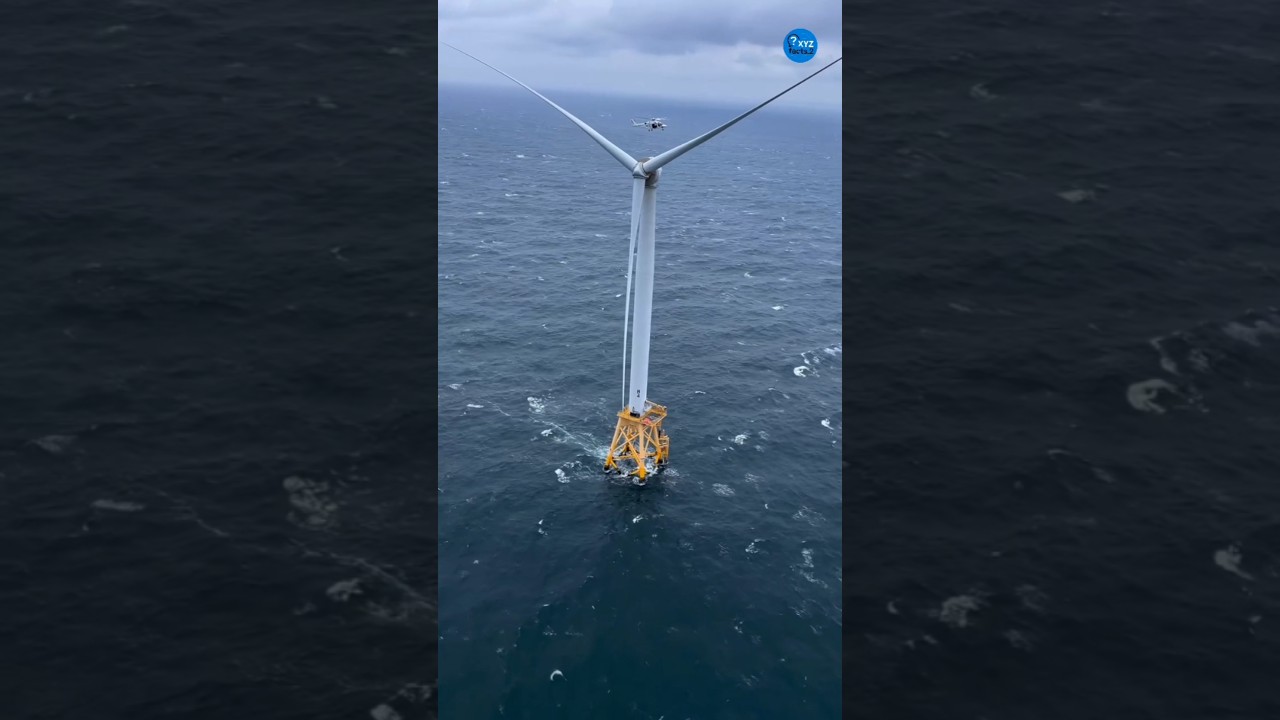 Offshore Wind Farms: The Future of Clean Energy. #greenenergy #windpower #offshore #facts