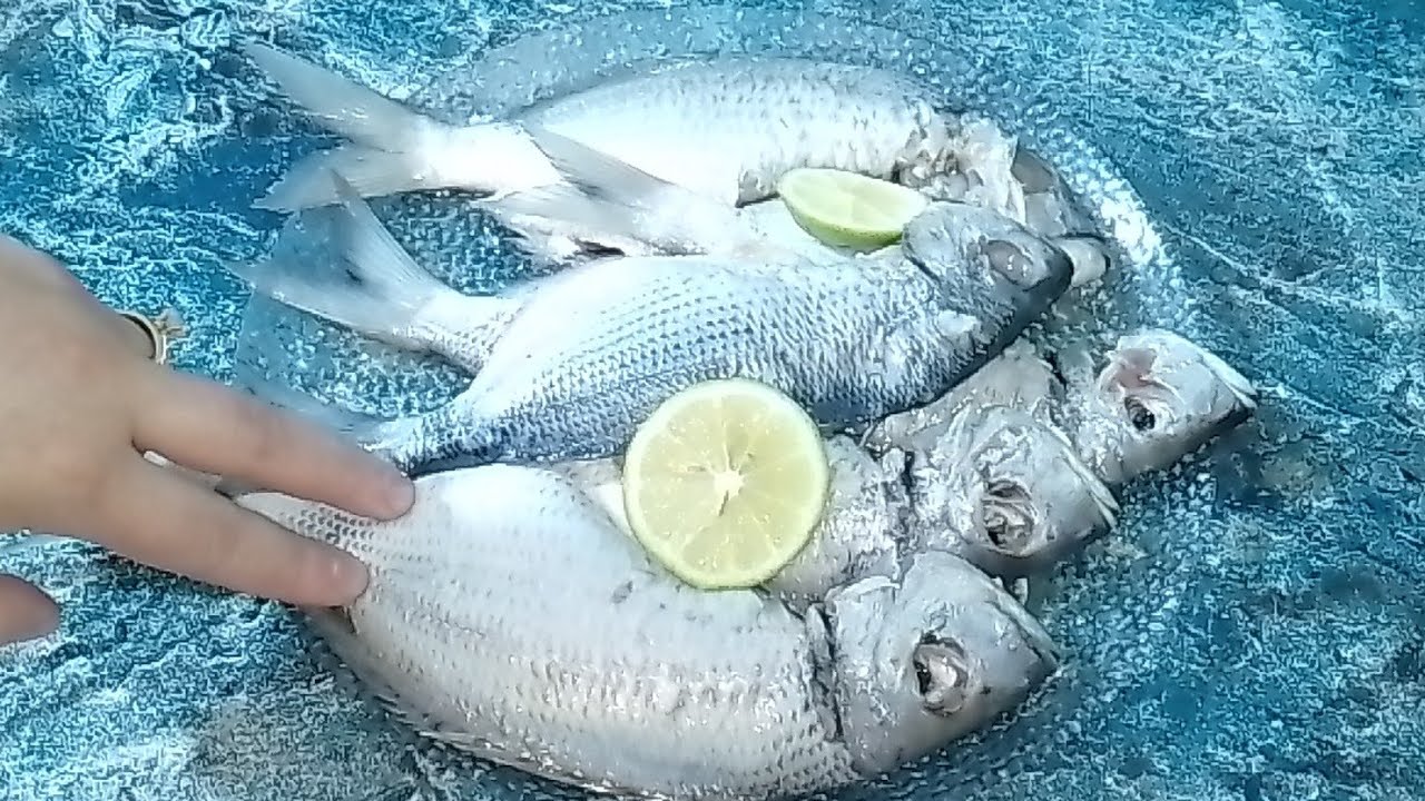 الحوت في الفرن🐟🐟بنة ولا أروع 🥰طري من لداخل زبدة جربوه مراحش تندمو 👌🍽️