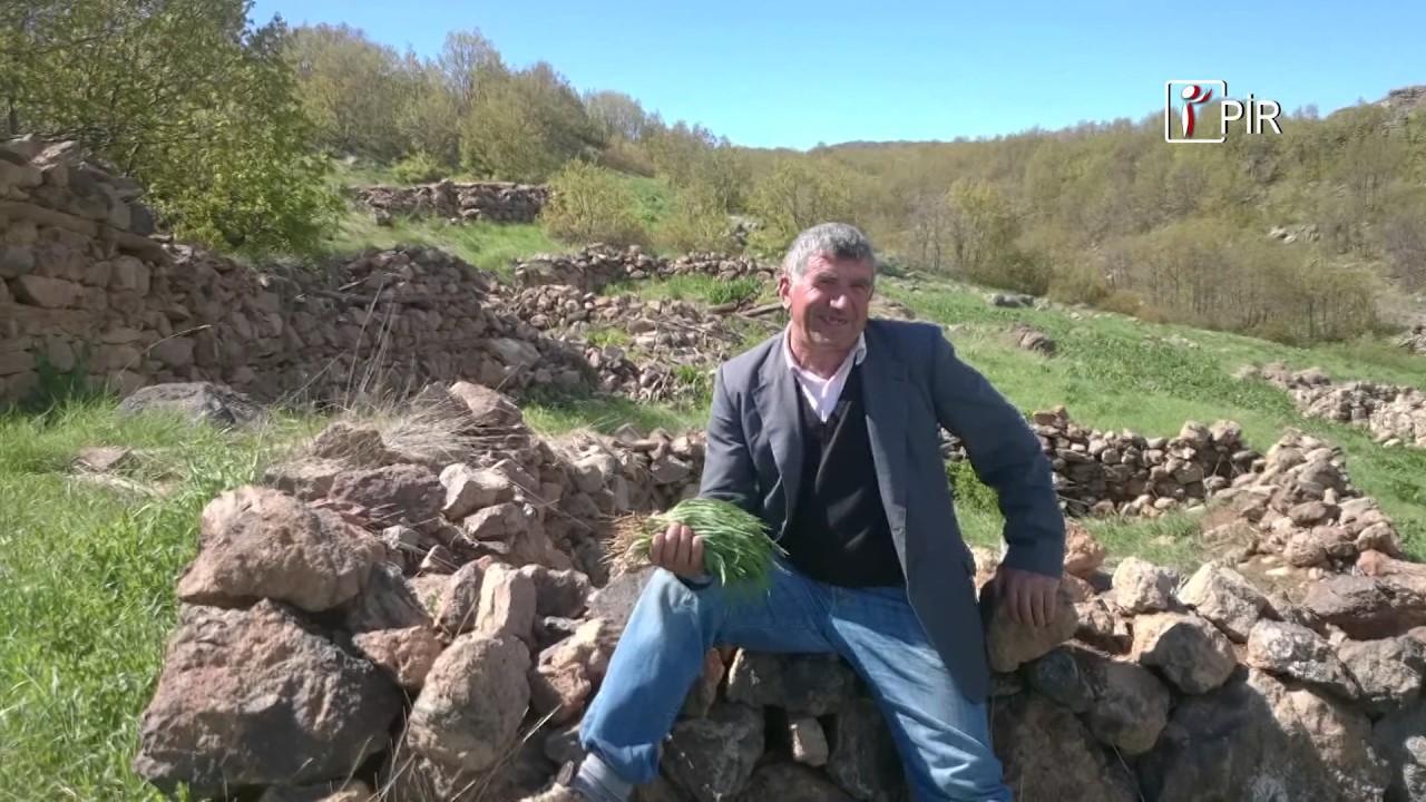Sevket viraneye donmus yaylasina agit yakiyor