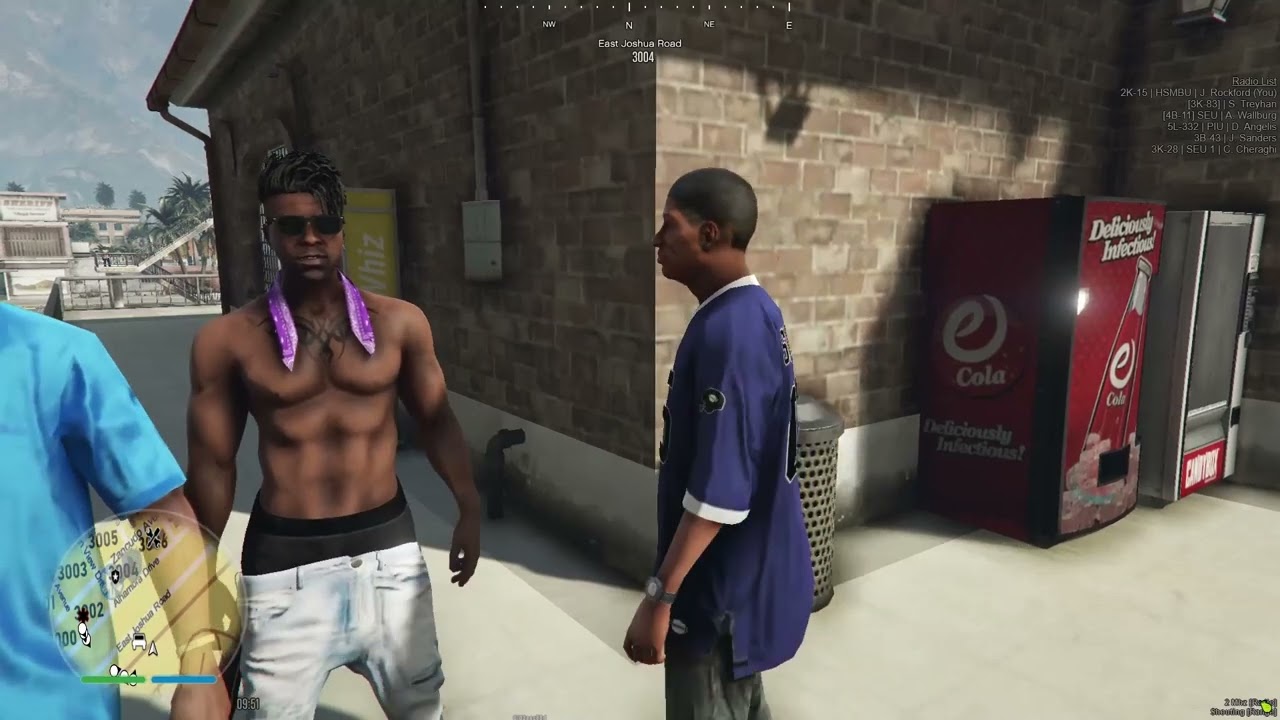 GTA RP summed up in 1 minute and 8 seconds