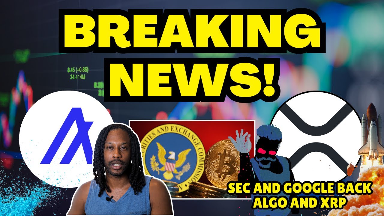 SEC and Google Named Algorand and Ripple XRP, Will They Win The Next Bull Run?