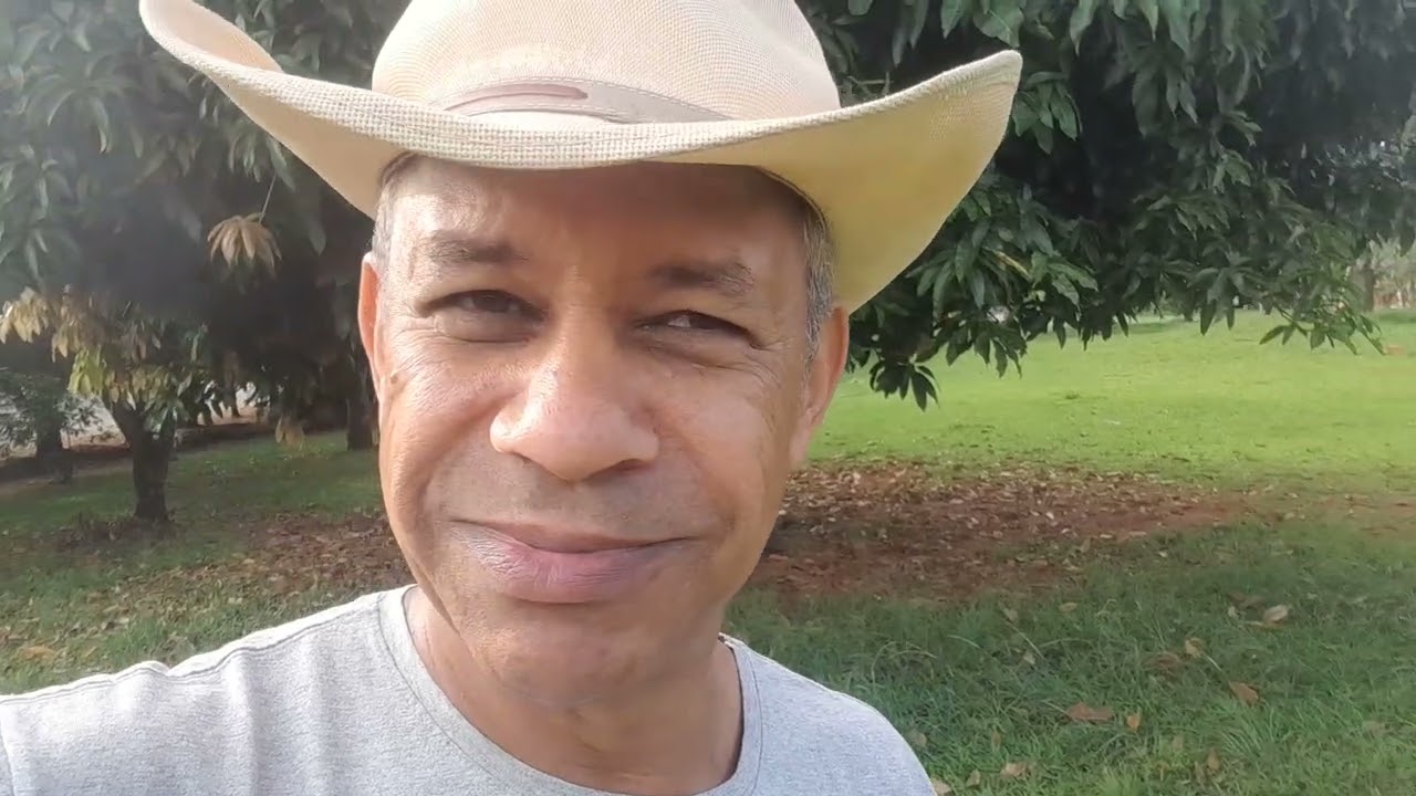 Os 8 remédios naturais 