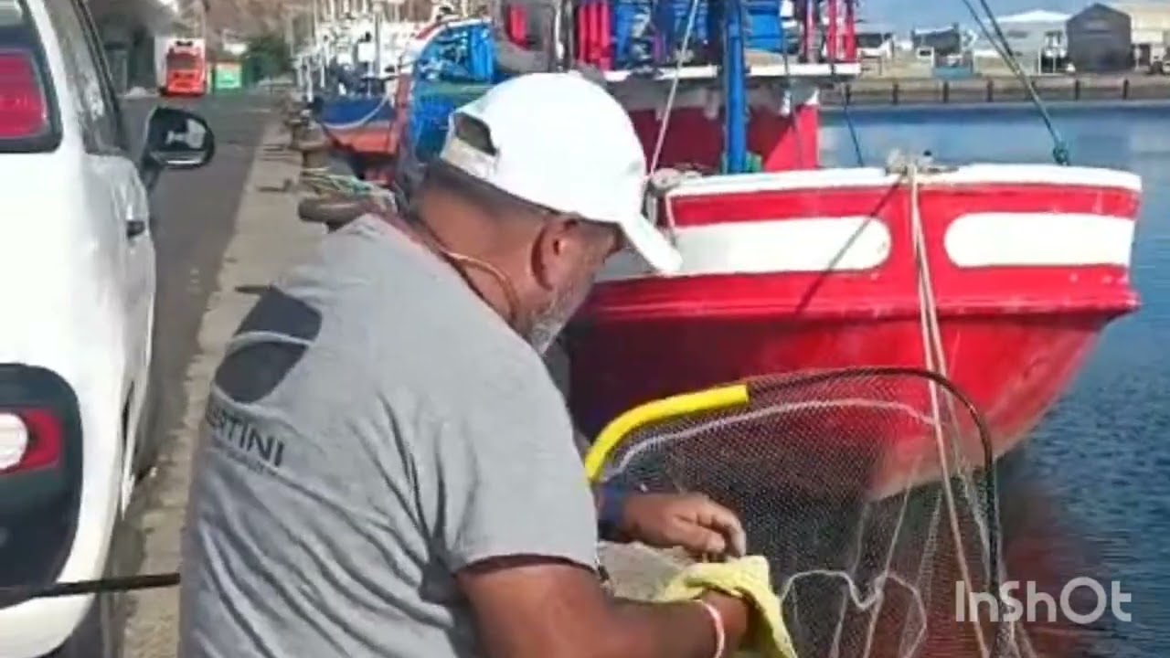 lisas a boloñesa                                                       GOYO MORIN FISHING