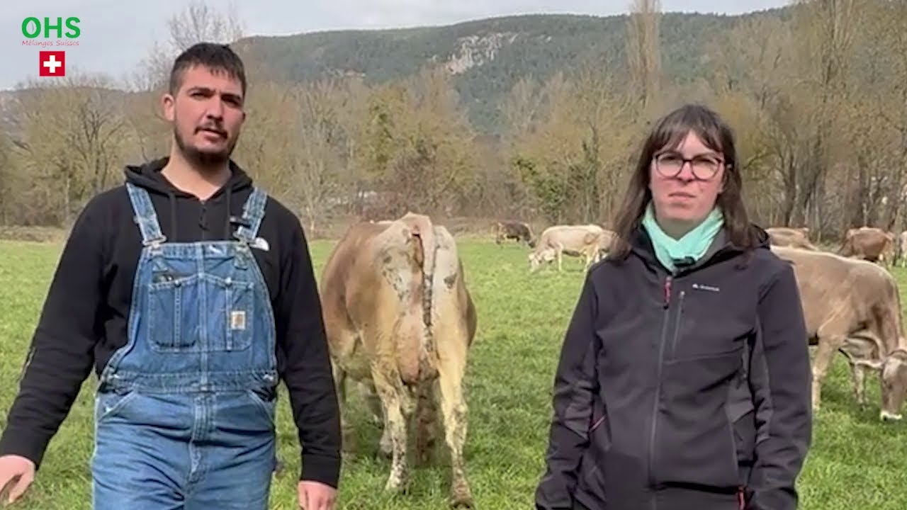 Témoignage mélanges suisses OH - Gaec Les Rivières (48)