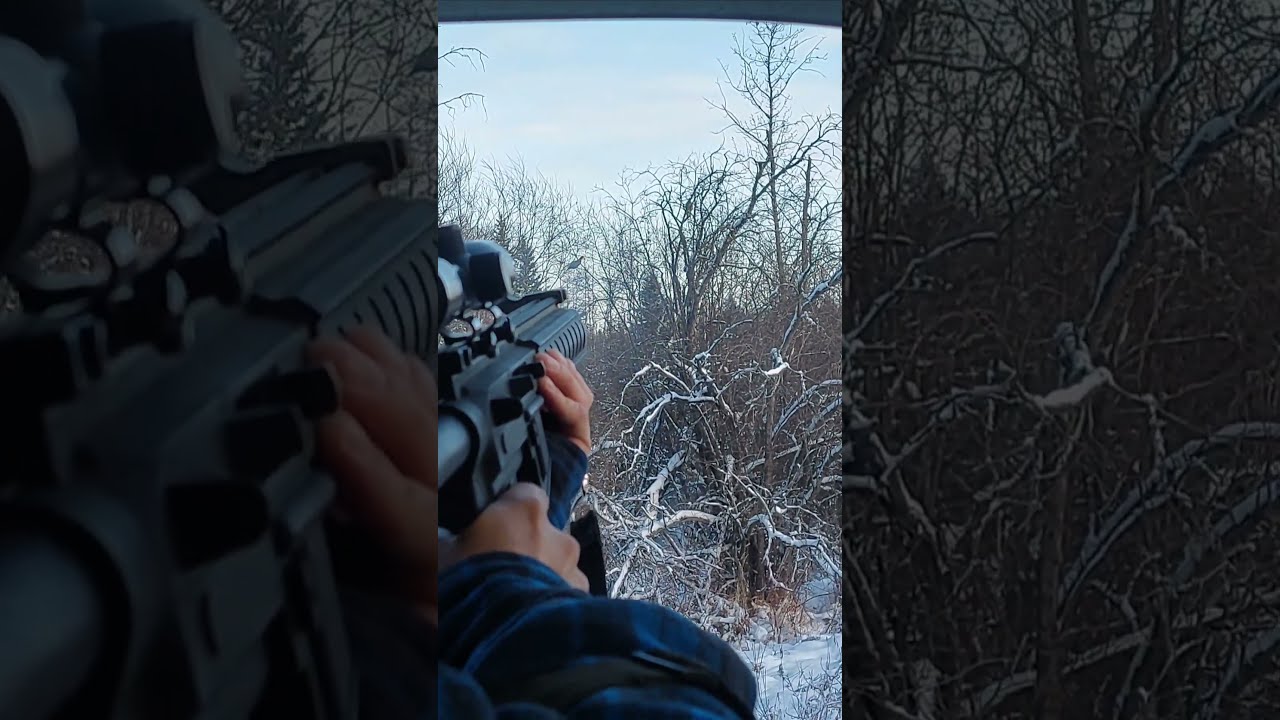 Chicken hunting northern Alberta! #alberta #hunting #22lr