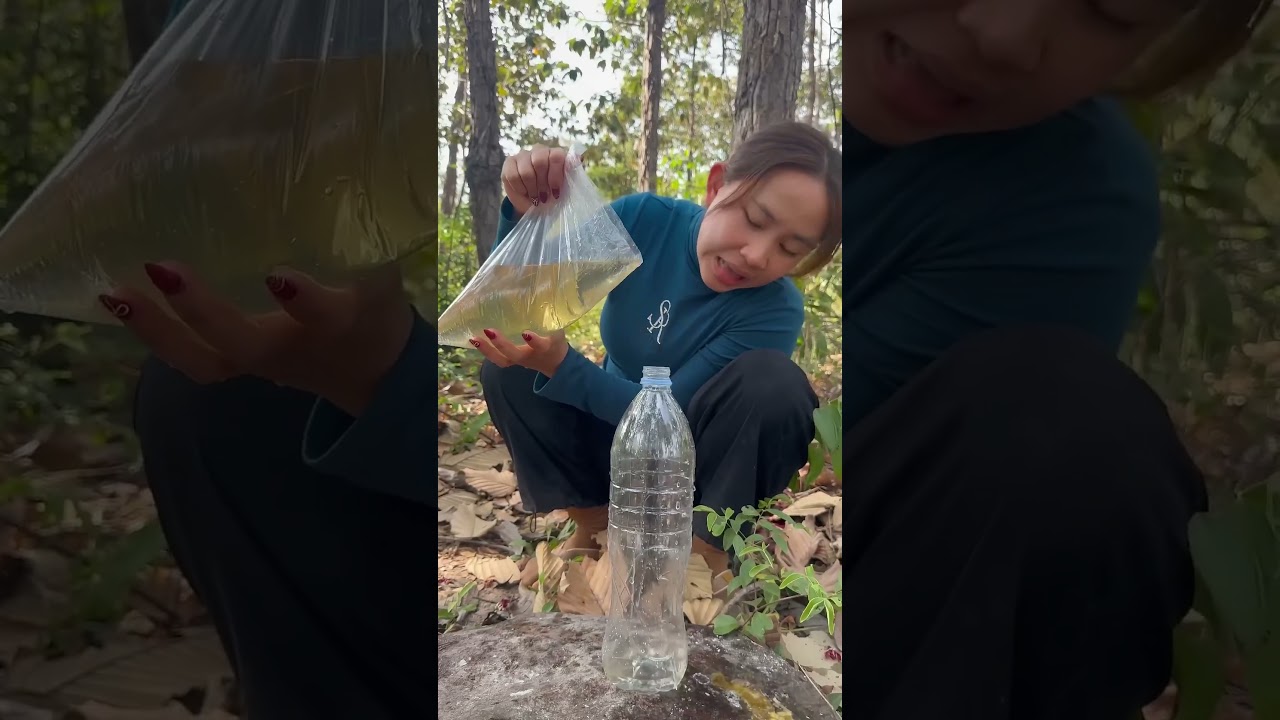 Survival skills: easy methods saving water transfer to bottle #camping #bushcraft #water