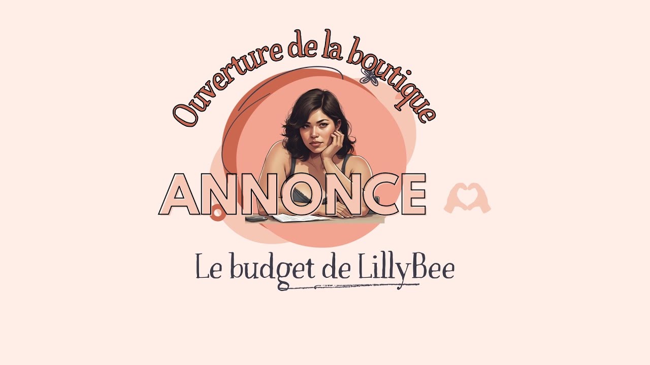 Ouverture de la boutique - Le budget de LillyBee