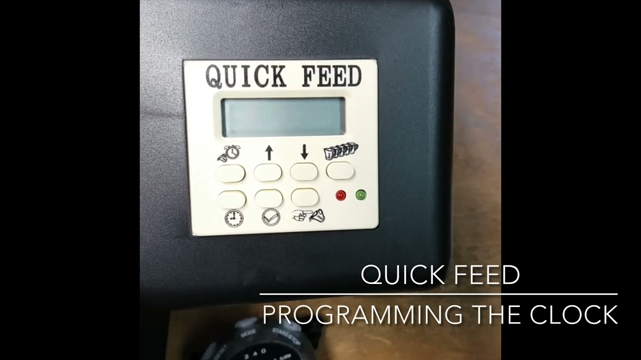 Quick Feed Programming/Setting the Clock