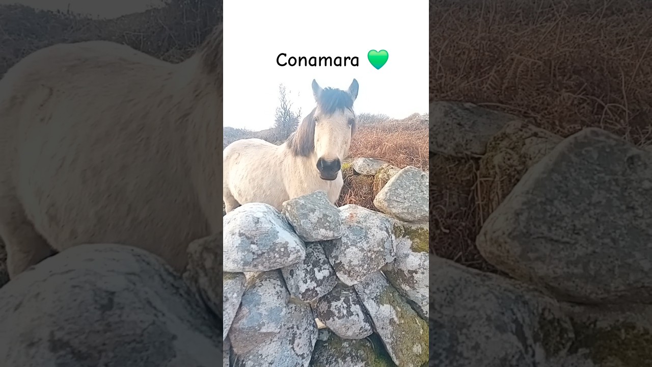 #connemara