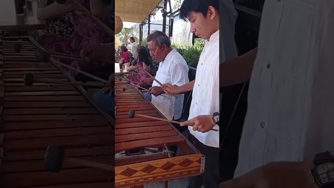 MARIMBA OAXACA WHATSAPP 951 198 82 48 