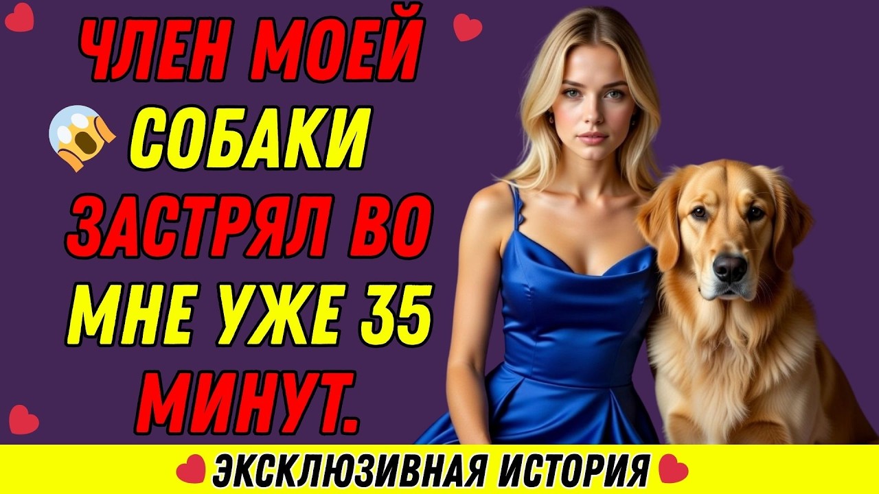 Моя собака делает это для меня каждый раз, когда мой муж уезжает в командировку.