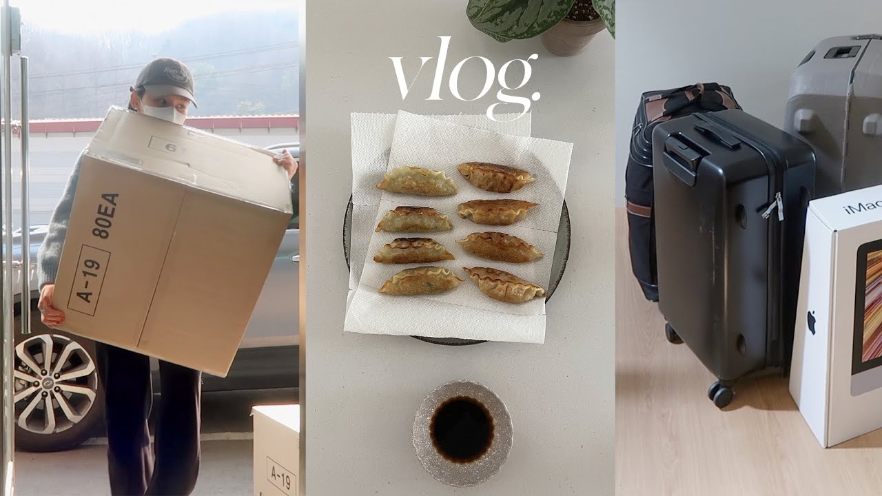 남편의 미국행 🇺🇸 혼자서도 잘 먹고 잘 살아 + 모네 구조 계획 🚑