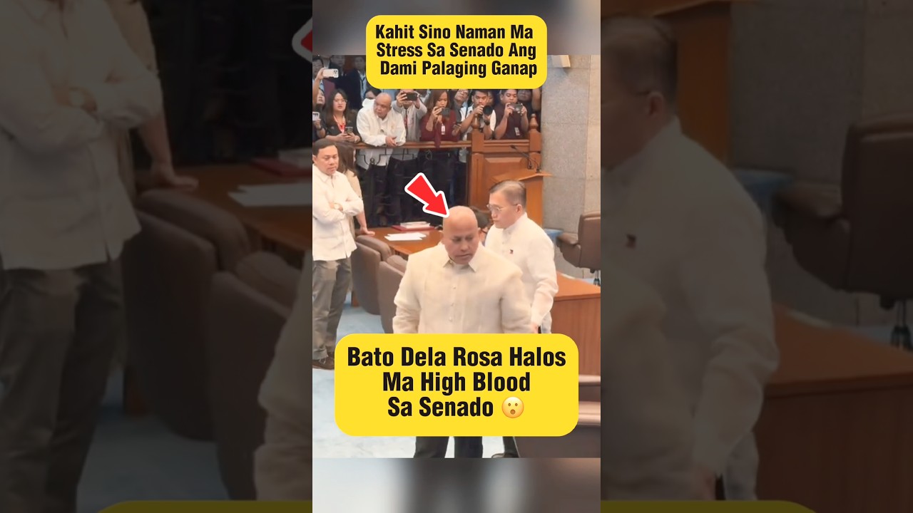 Bato Dela Rosa Ayaw Daw Papasukin? 😮#batodelarosa #viral