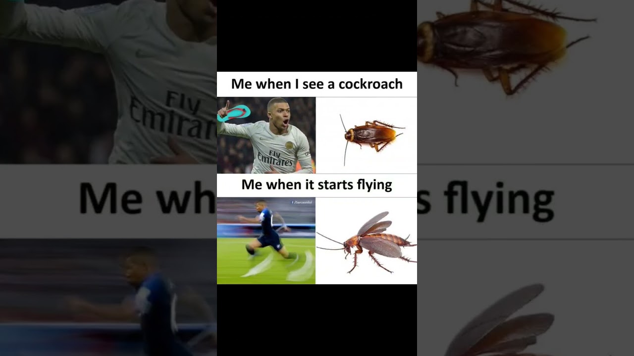 funny memes only legends will find funny part 2 #shorts