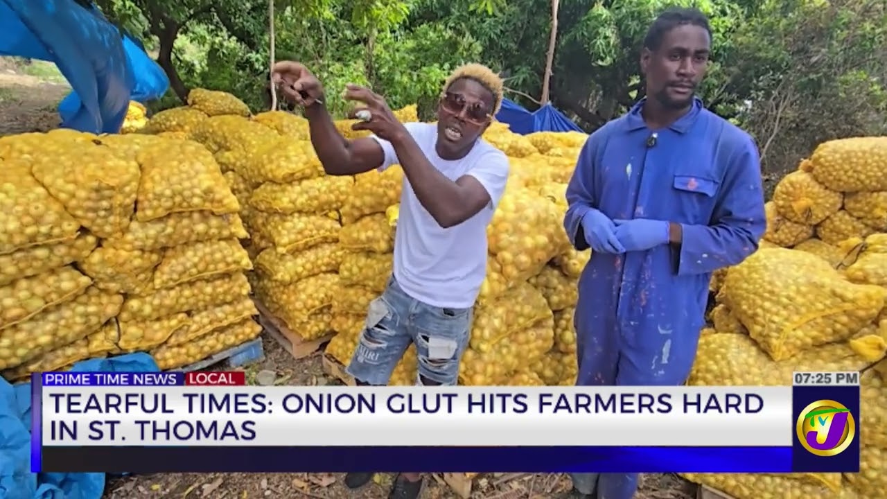 Tearful Times: Onion Glut Hits Farmers Hard In St. Thomas | TVJ News