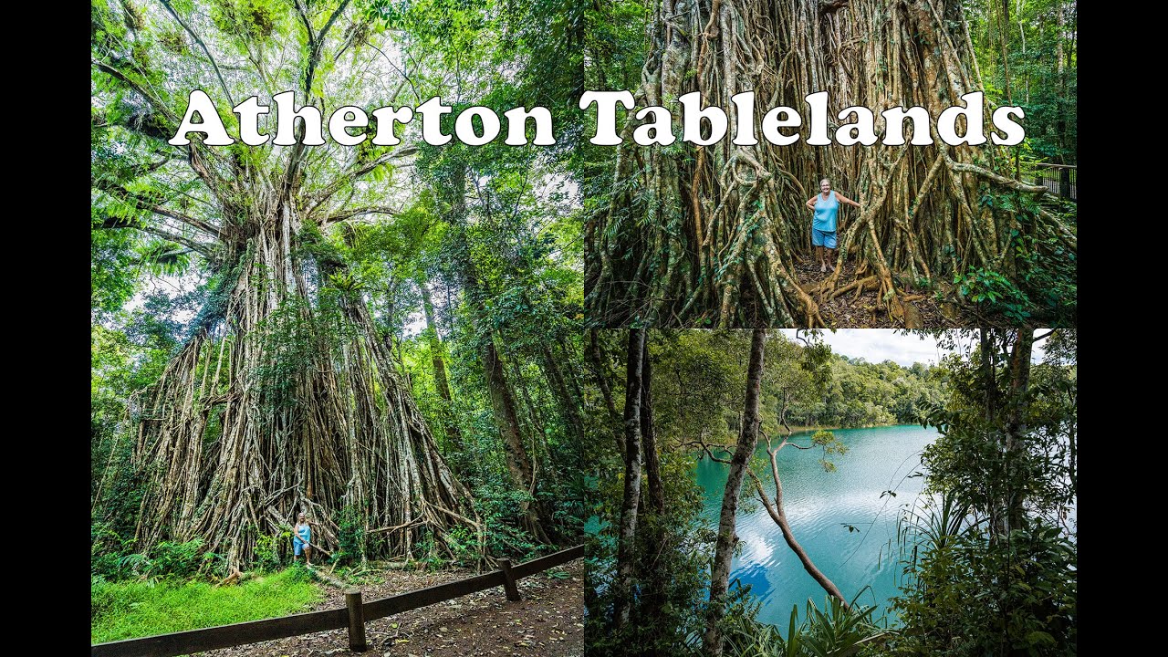 Bonadio Rv & Nature Park - Budget Camping on the Atherton Tablelands, Lake Eacham, Curtain Fig,EP 34