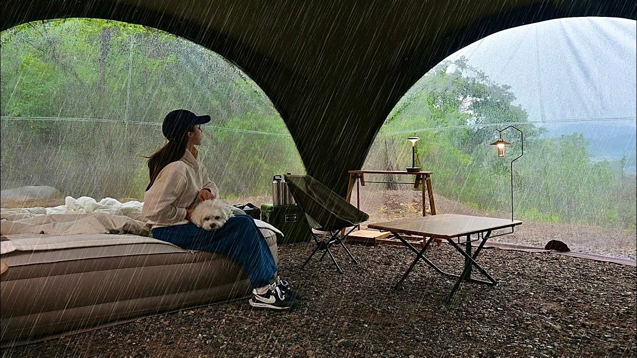 Кемпинг с собакой под дождем🐶🌧️Шум дождя, пение птиц Корейский лечебный лагерь🏕️