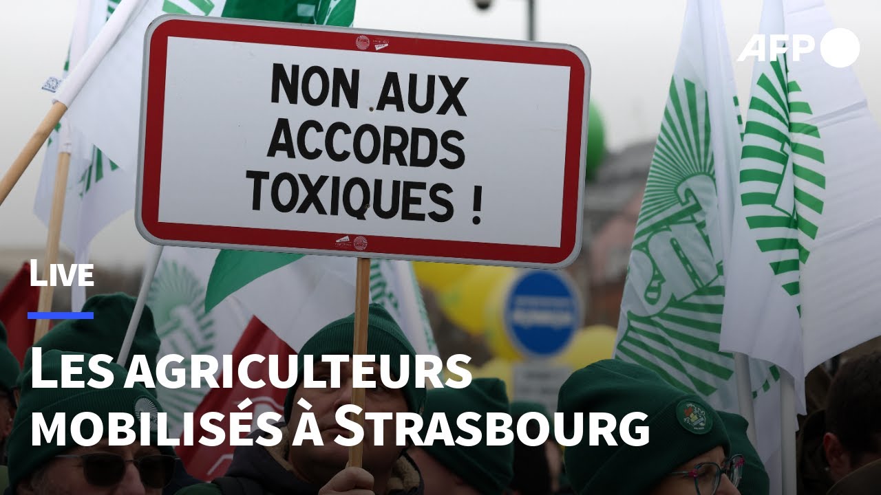 🔴 LIVE - Mercosur: forte mobilisation d'agriculteurs européens