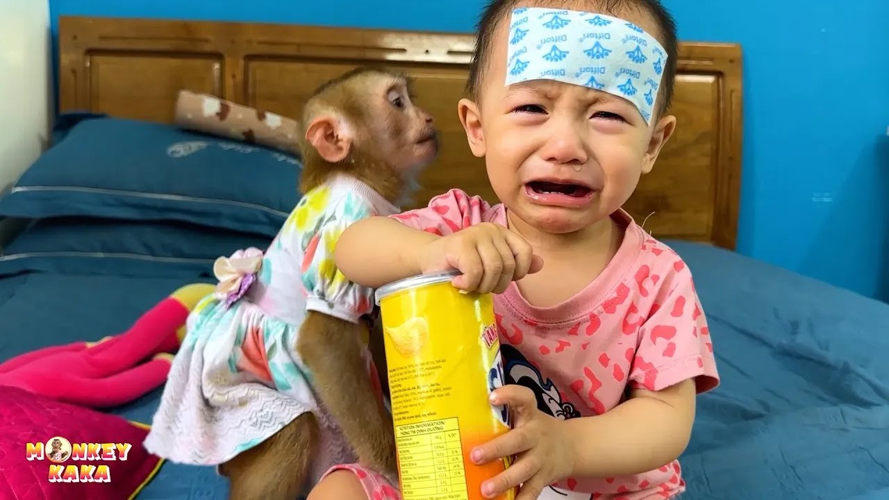 Monkey Kaka was worried when he saw Diem was sick.
