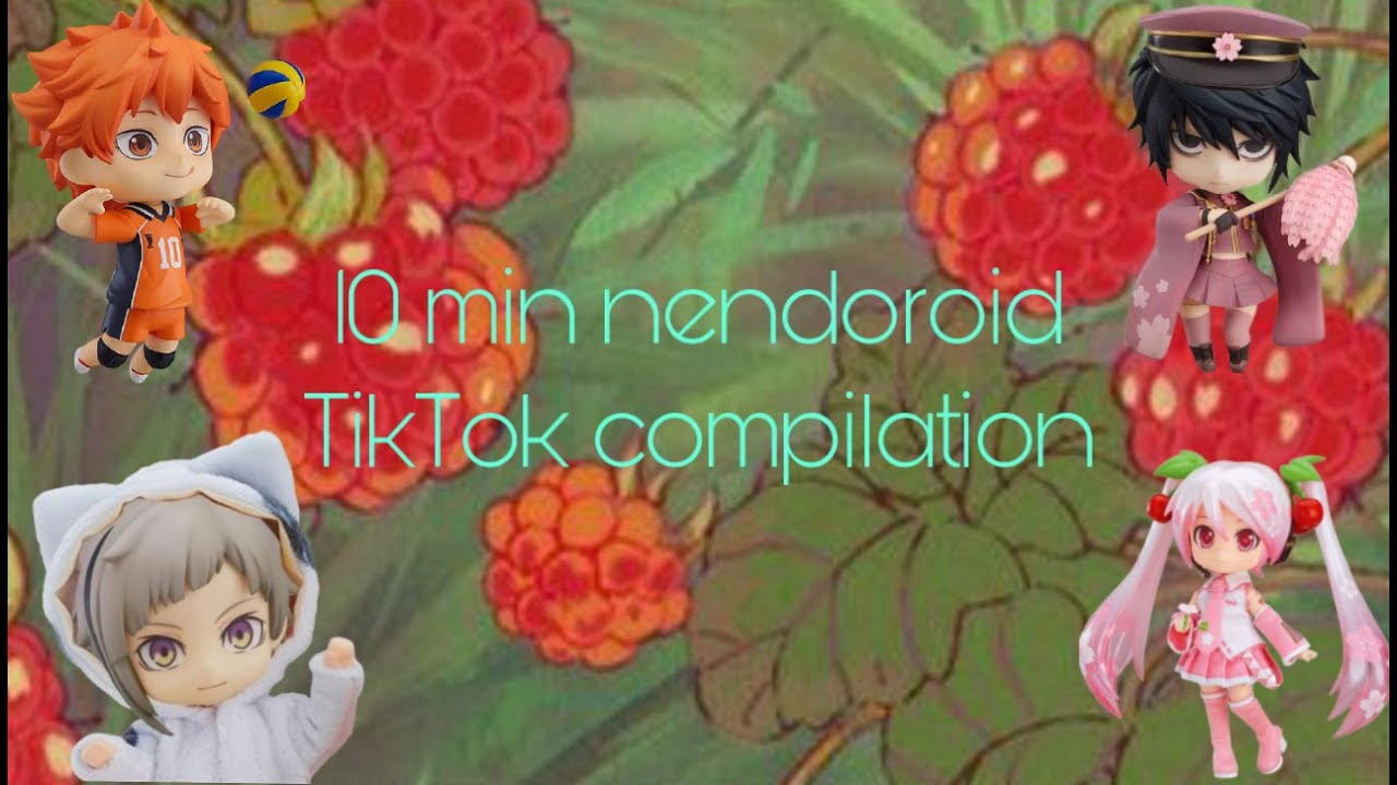 10 min nendoroid TikTok compilation