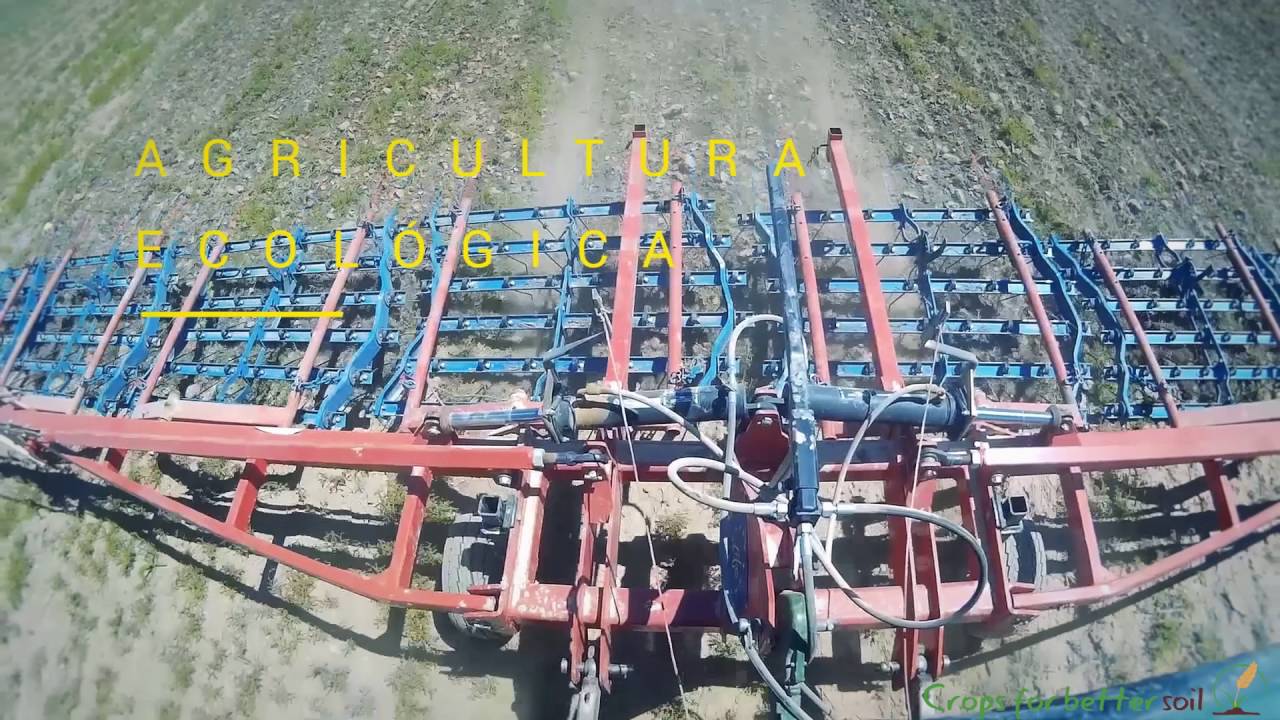 LIFE+ Cultivos Tradicionales-Cómo hacer rentable la agricultura ecológica en zonas de secano