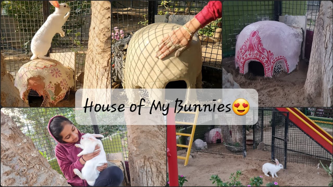 Rabbit House | House of My Bunnies | For Rabbit Lovers | Rabbit Care 
