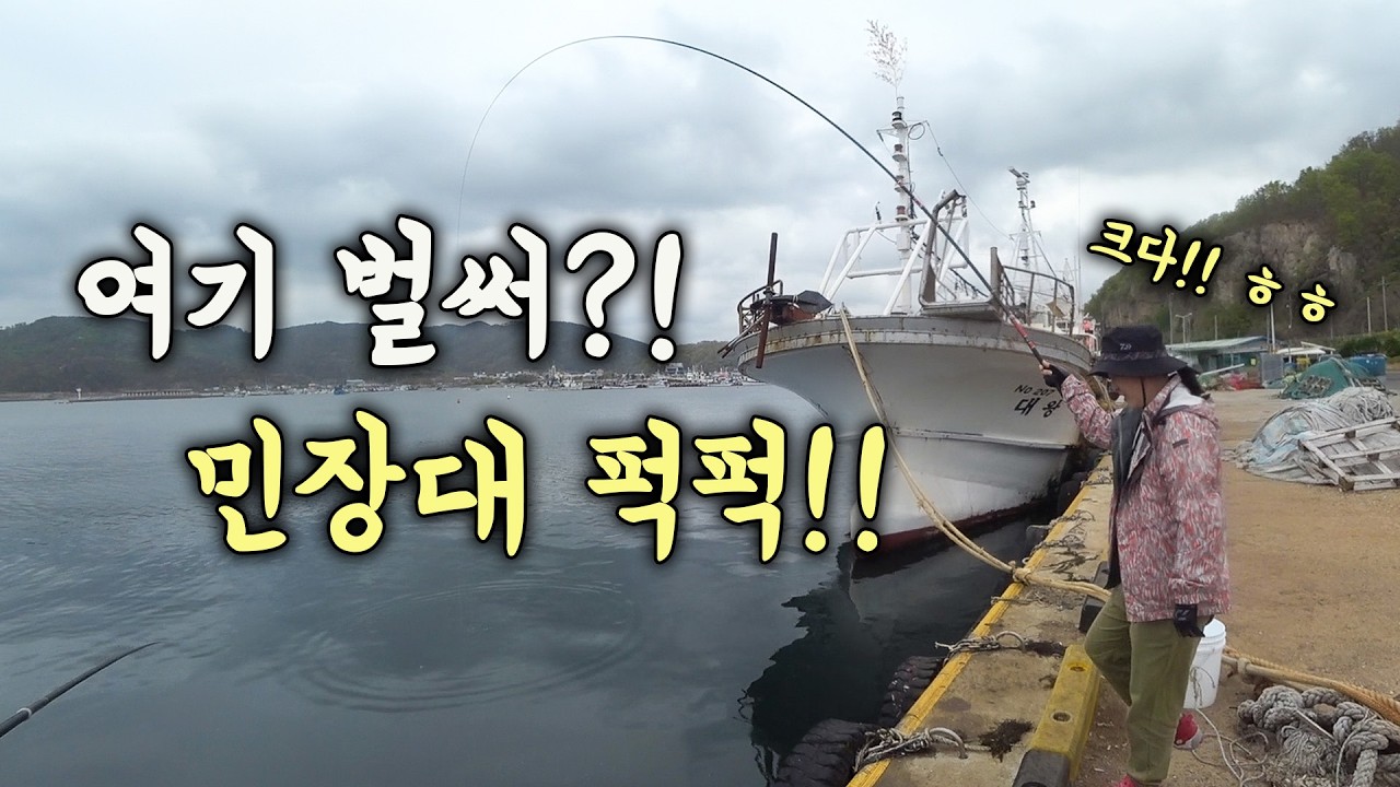 [다리tv] 주차하고 바로!!! 전갱이! 볼락! 큰놈! 민장대 생활낚시!!!