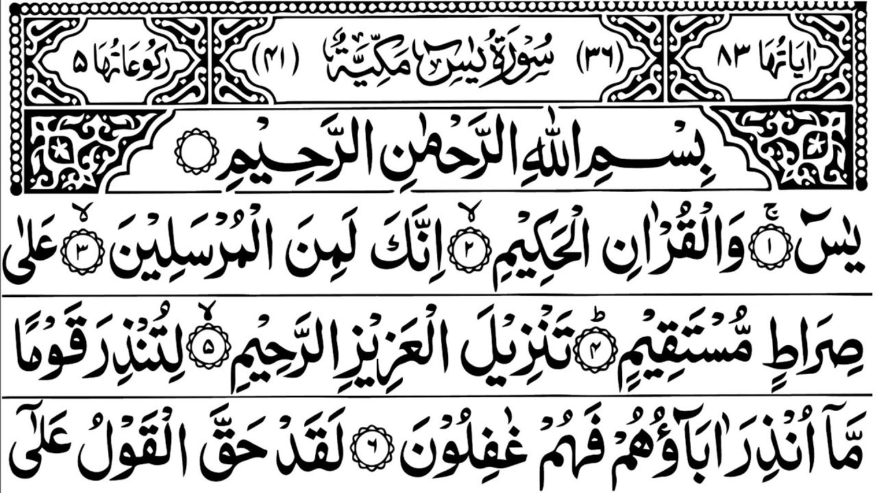 Surah Yaseen | Surah Rahman | Surah Mulk – Beautiful Quran Recitation 🌿 | The Quranic Attraction 