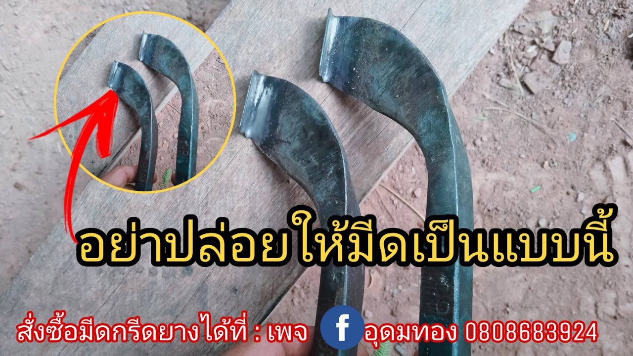 วิธี แก้ไขมีดกรีดยาง เป็นพุงสูงกว่าเดือย หูมีดสูงกว่าเดือย