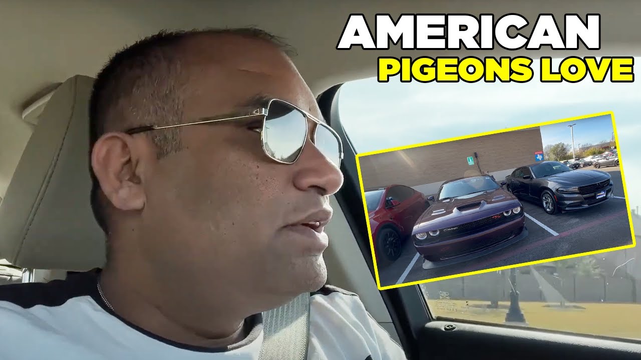 I purchased 2rd car in America | Zafar Bhutto