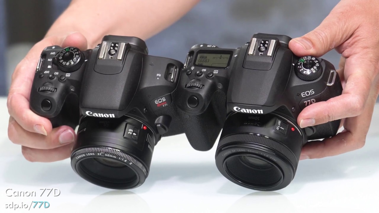Canon SL2 vs T7i vs 77D (200D vs 800D vs 77D) Which 📷 is best?