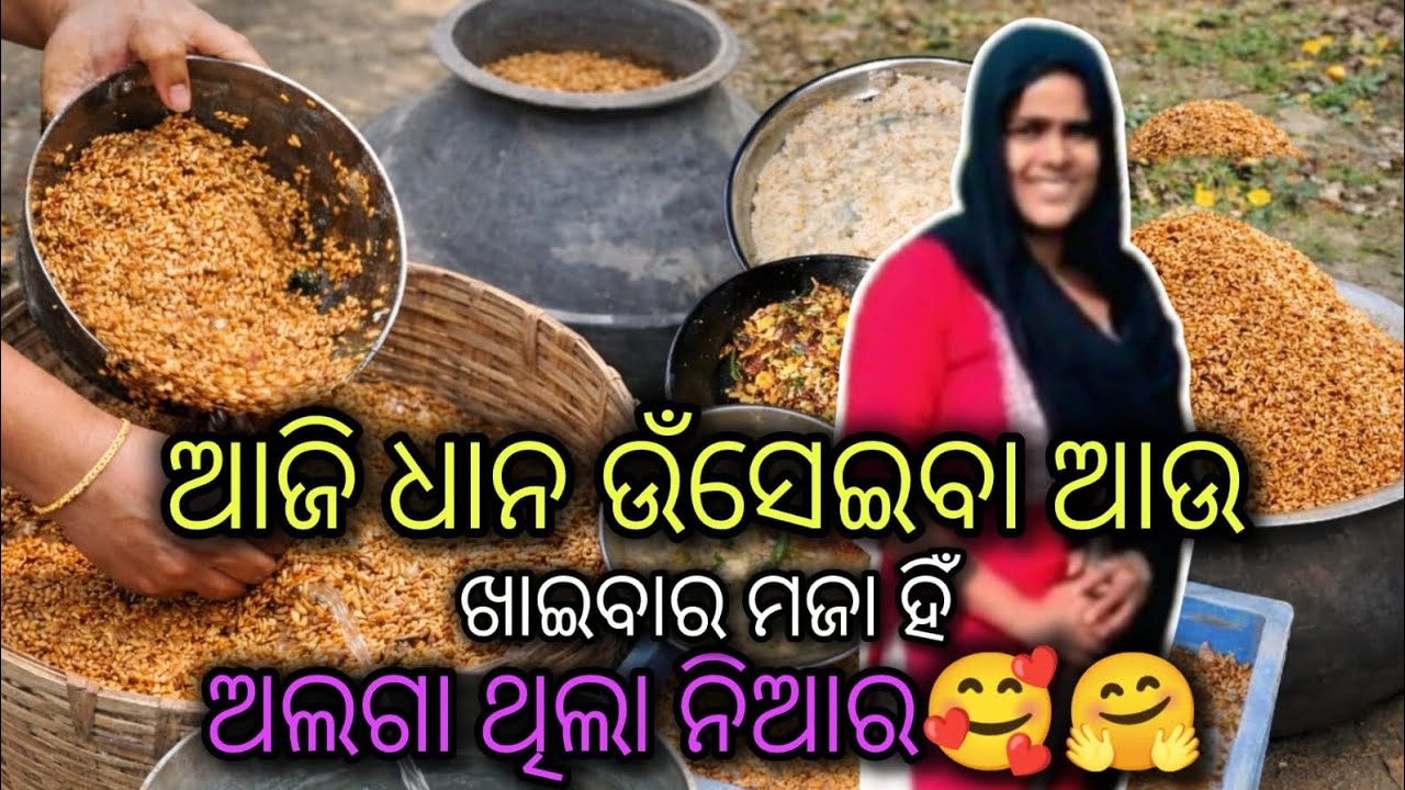 ଆଜି ଧାନ ଉସେଇଁବା ଆଉ ଖାଇବାର ମଜା ହିଁ କିଛି ଅଲଗା ଥିଲା ନିଆରା ଚଳାନ୍ତୁ ଦେଖିନବା ଏଇ ଭିଡିଓ ଟିକୁ 