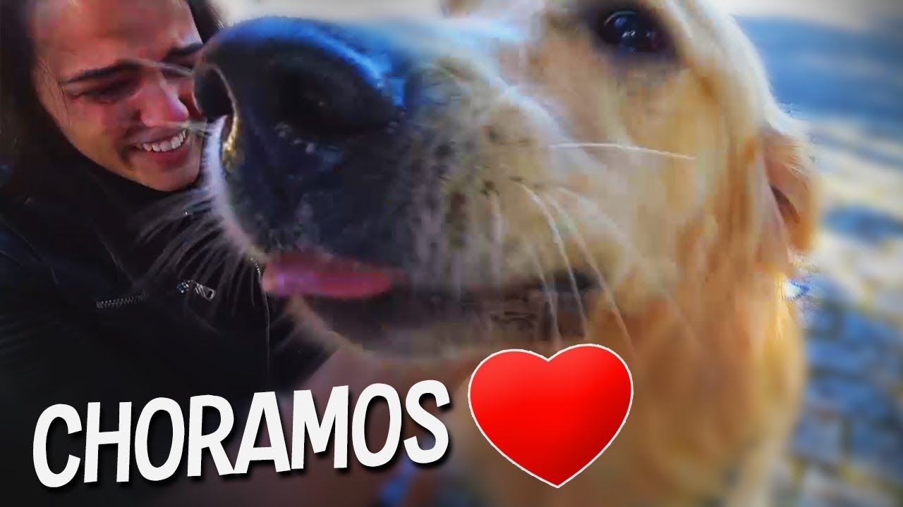 CHORAMOS REENCONTRANDO NOSSO FILHO! 😭