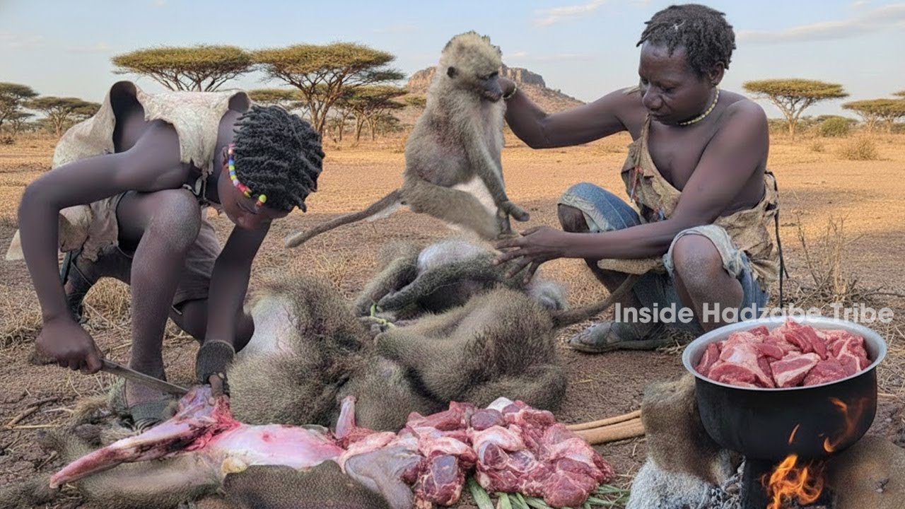 Hadzabe Tribe Hunting Successfully | Traditional Hunting Baboons In Africa