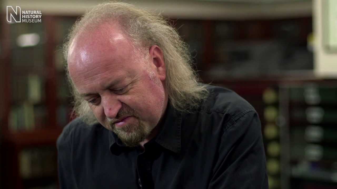 Bill Bailey takes the Wallace discovery trail | Natural History Museum