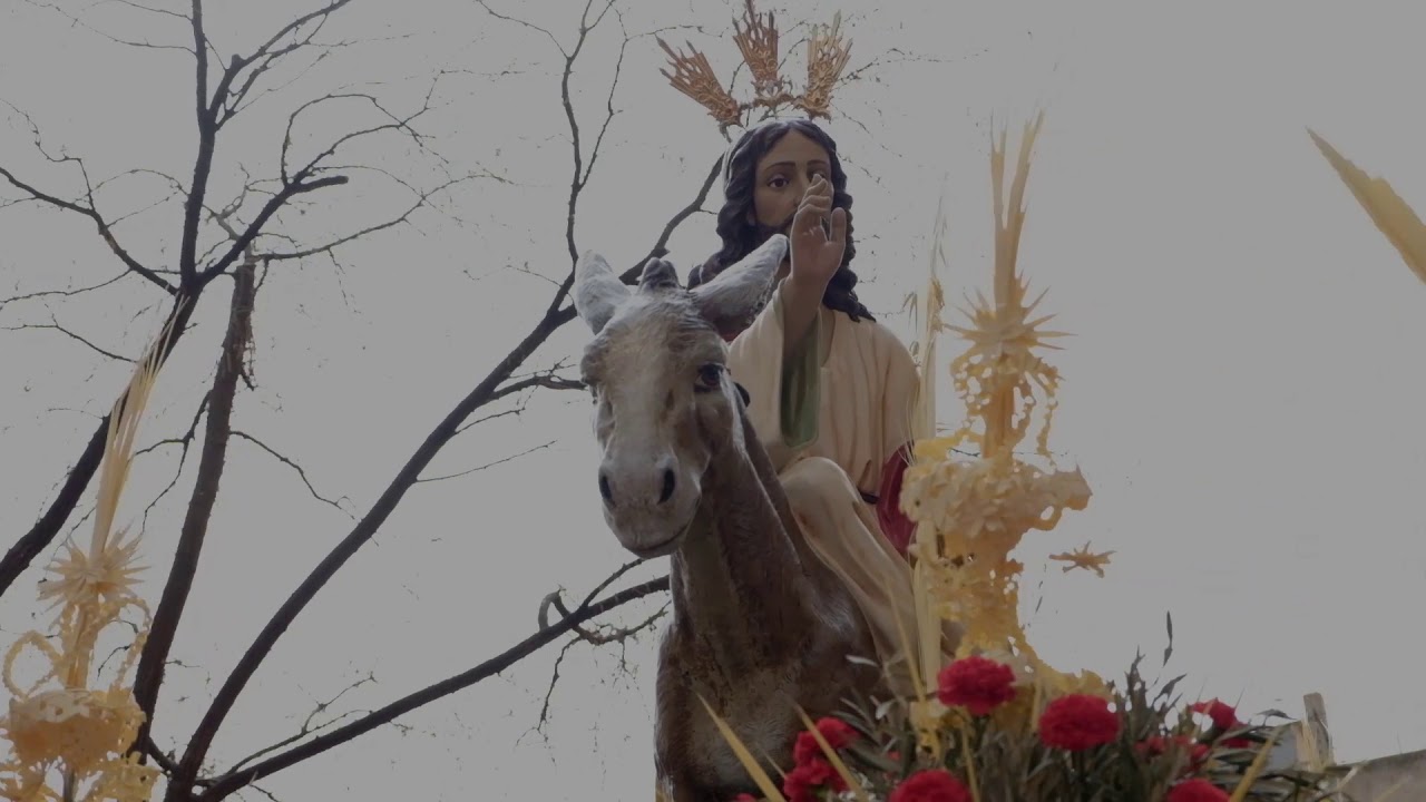 Domingo de Ramos en Madridejos, Toledo