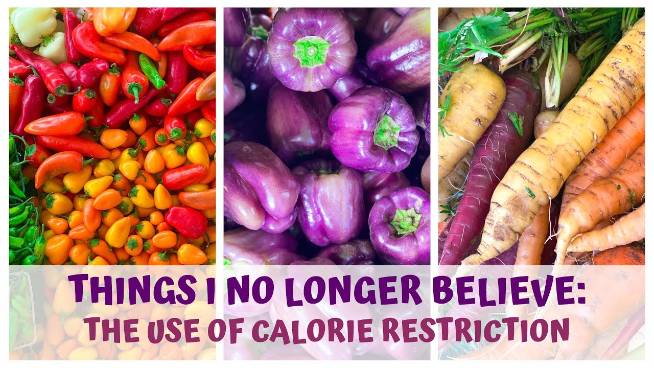 WHY I DON'T BELIEVE CALORIE RESTRICTION FOR LONGEVITY?