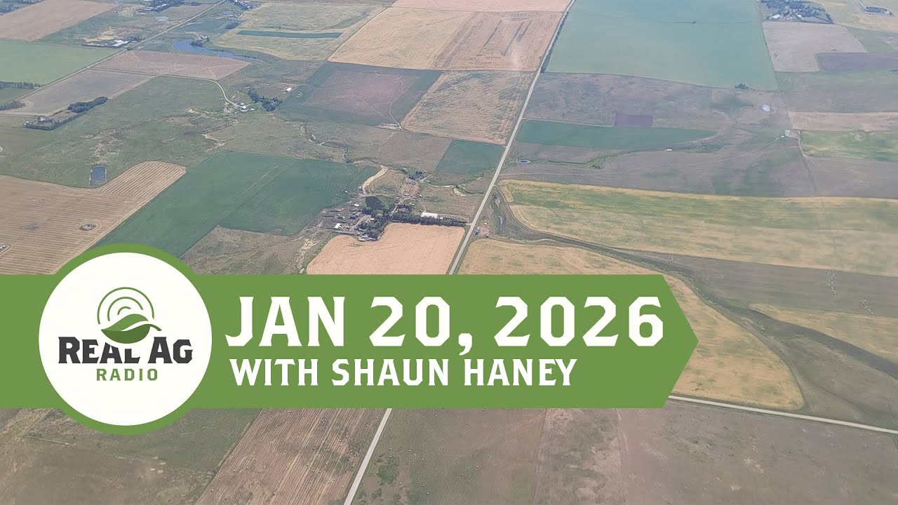 RealAg Radio: Balance sheets, land sales, and finding opportunity in restructuring, Jan 20, 2026