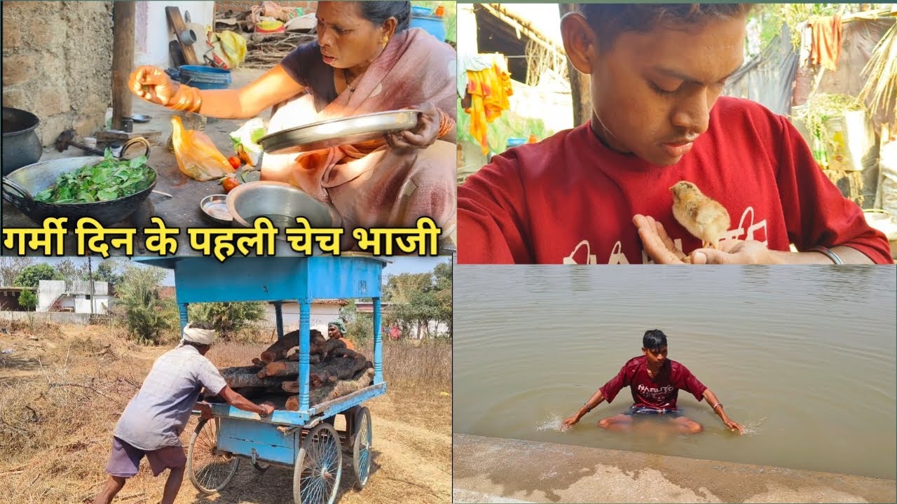 ये साल के पहली चेच भाजी के साग बनावत हे ! Cg vlogger