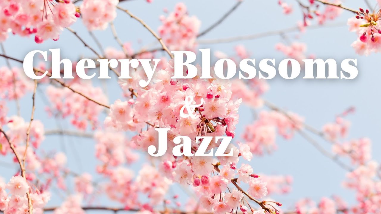 【𝐏𝐥𝐚𝐲𝐥𝐢𝐬𝐭】🌷 4K Cherry Blossoms Jazz Music 🌸 |  Spend a bright Spring day with Jazz 🌼
