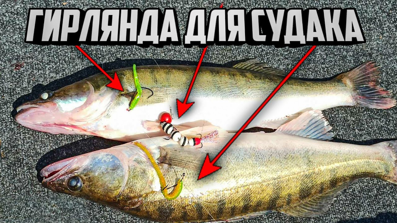 КОСИЛКА летнего СУДАКА, Ловля судака летом, Судак на джиг, Рыбалка на судака, Ловля судака мандулу