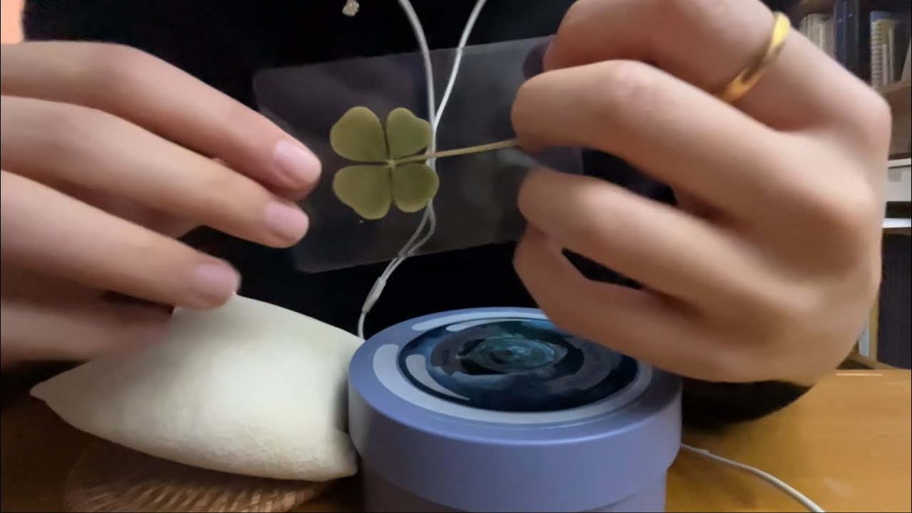 ASMR | 팅글이 두배.. 레이어드 단어 반복과 탭핑(네잎클로버 외 4개)