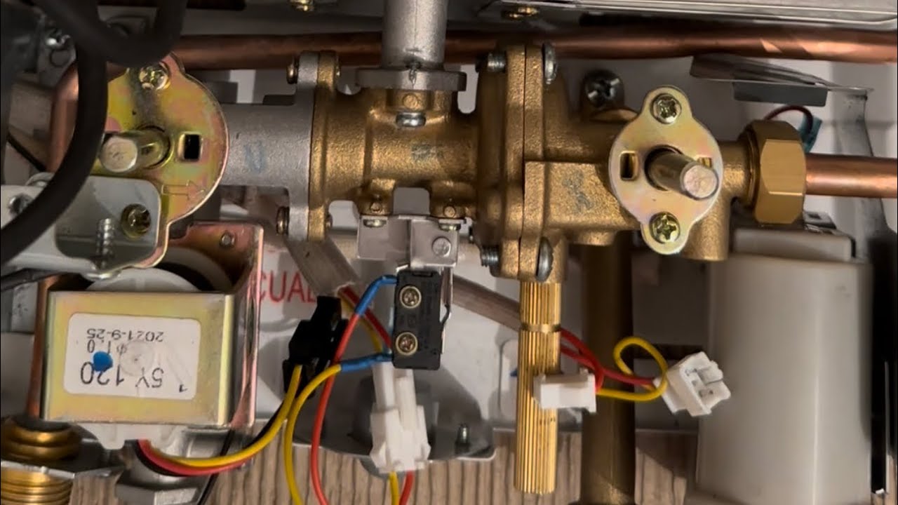 ¿COMO FUNCIONA Y COMO CAMBIAR UN MICROSWITCH DE UN CALEFONT ?