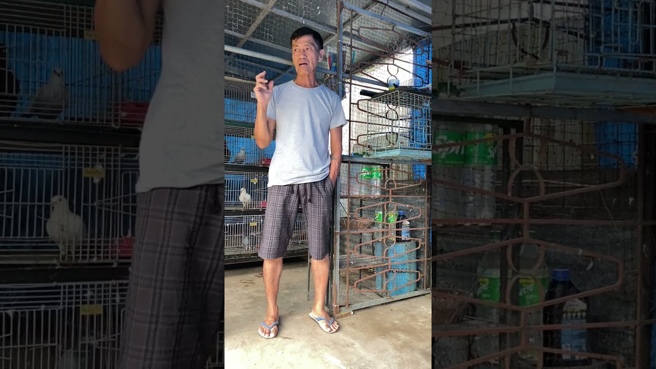 MGA IBAT IBANG PINAG - KAKAABALAHAN NATIN SA ARAW -ARAW TARA PANOORIN NATIN