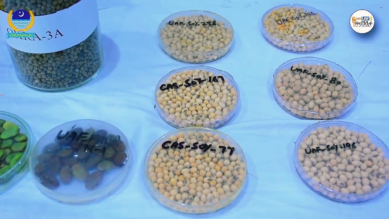 Faculty of Agriculture | Documentary | UAF
