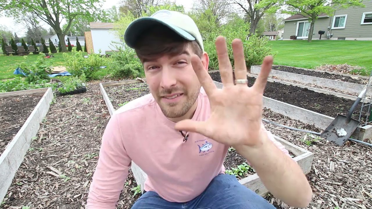7 Reasons Your Plants are Growing Slowly