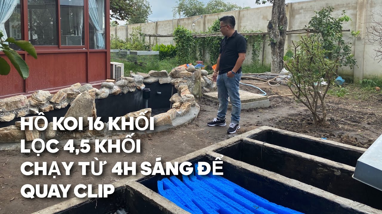 HỒ KOI 16K ĐẸP LỌC 4,5 K || CHẠY TỪ 4H SÁNG ĐỂ ĐƯỢC QUAY CLIP || CÁ KOI VLOG TRẦN ĐỨC CƯỜNG