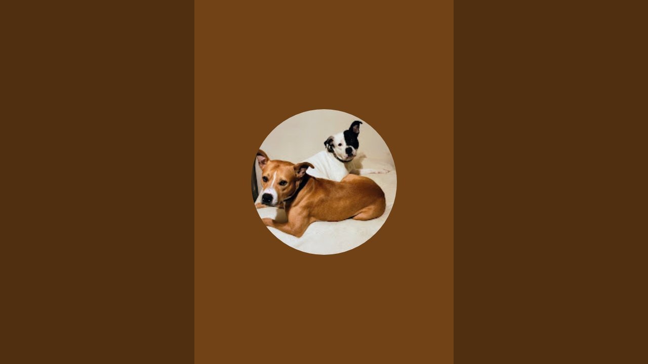 Doolittle is live!